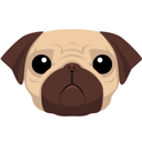 Live Pug Compiler